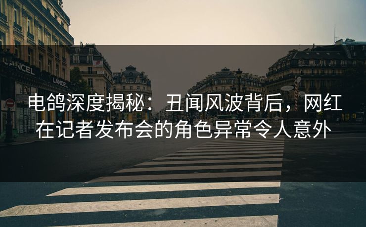 电鸽深度揭秘:丑闻风波背后,网红在记者发布会的角色异常令人意外 电鸽深度揭秘:丑闻风波背后,网红在记者发布会的角色异常令人意外
