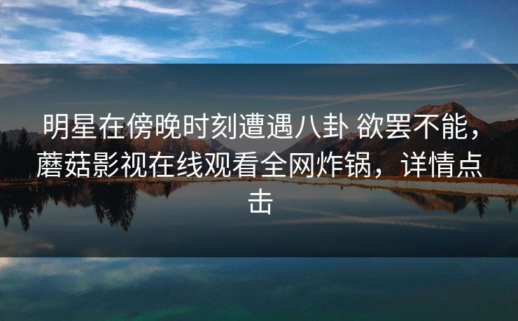 明星在傍晚时刻遭遇八卦 欲罢不能，蘑菇影视在线观看全网炸锅，详情点击
